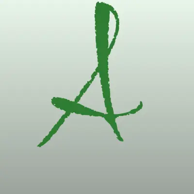 АвтоНАНОмойка, лого-визитка